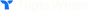 Triple Whale